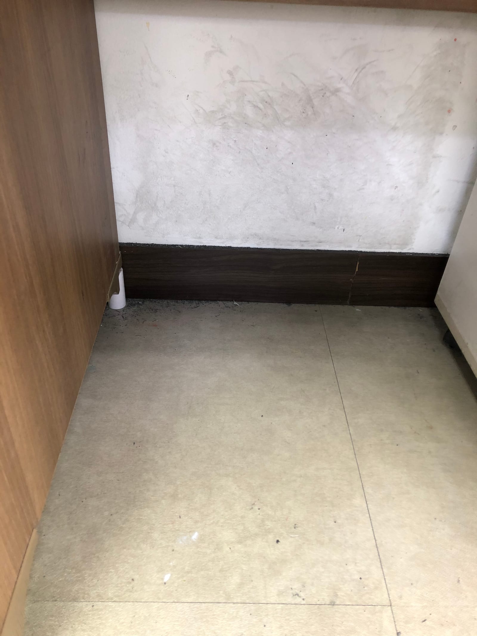 의정부 의정부동 카펫청소 시공 사진